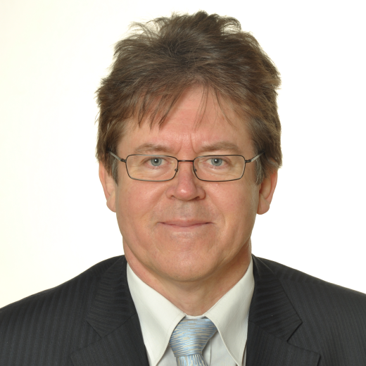 Professor Matjaz Gams