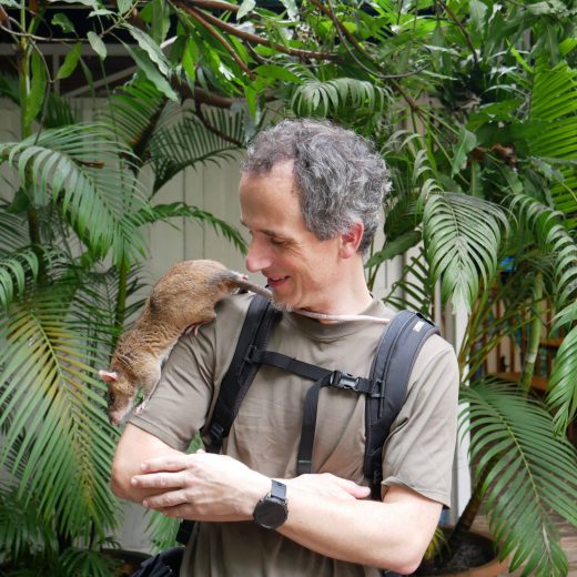 Prof Mitja Lustrek interacting with a landmine-detecting rat in Cambodia.